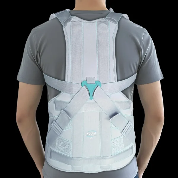 UM TAYLOR'S BRACE D.L.S.O Short / Long