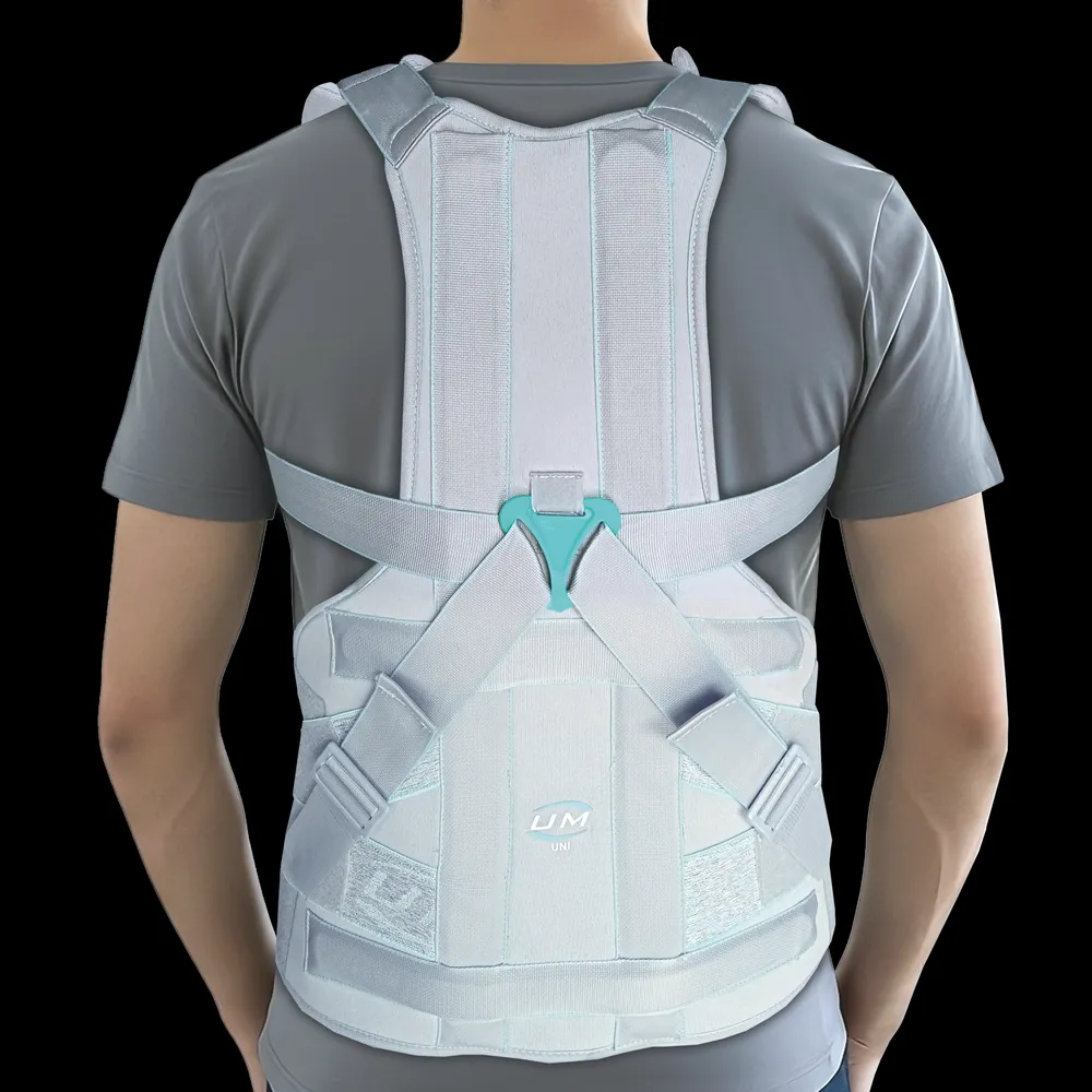 UM TAYLOR'S BRACE D.L.S.O Short / Long