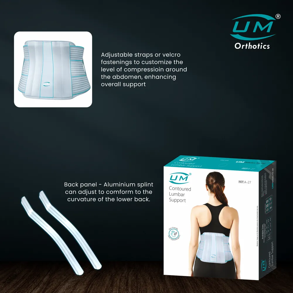 UM CONTOURED LUMBAR SUPPORT - Image 3