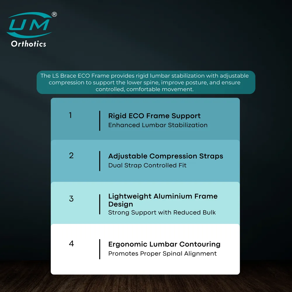 UM L.S BRACE (ECO FRAME) - Image 5