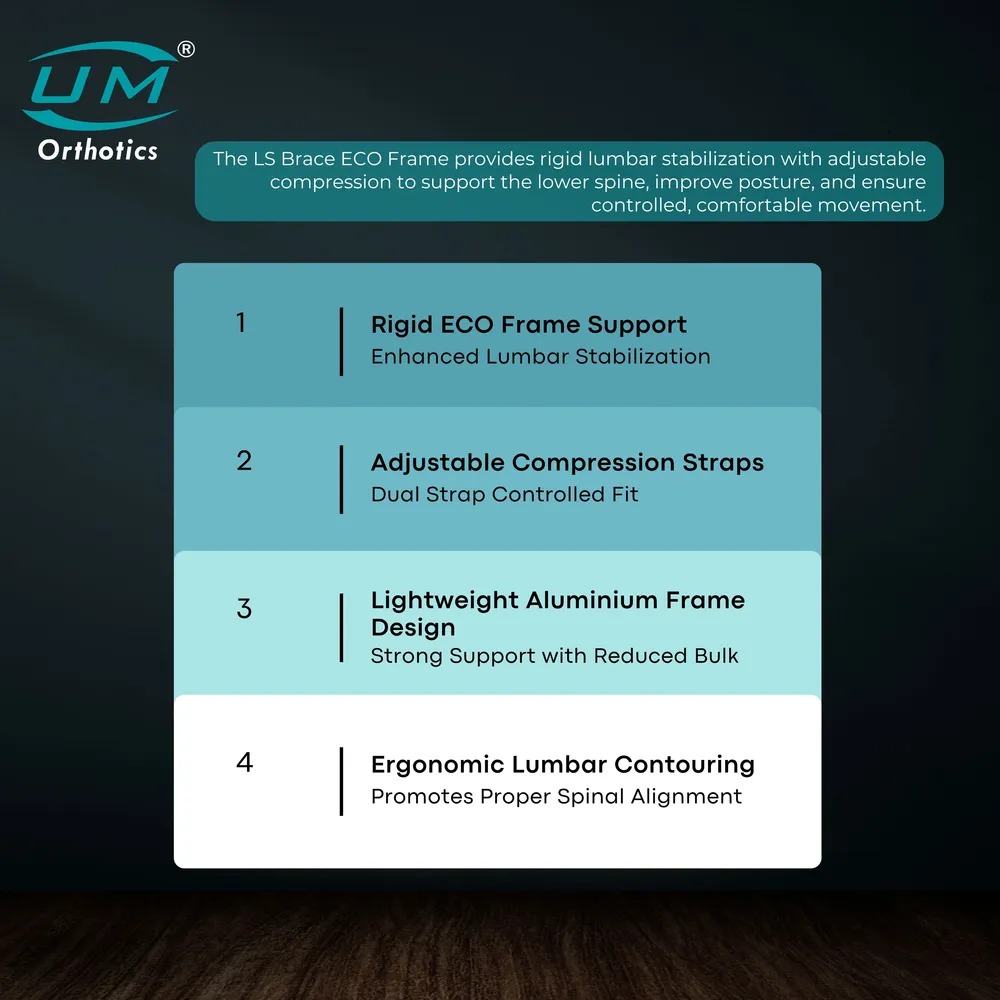 UM L.S BRACE (ECO FRAME)