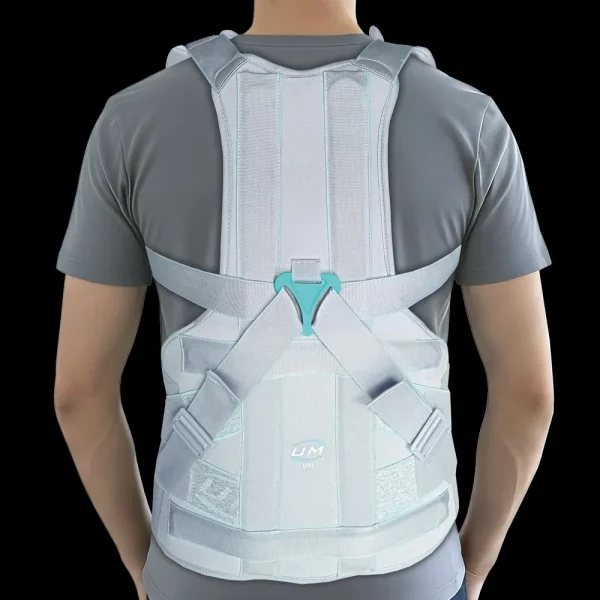 UM TAYLOR'S BRACE D.L.S.O Short / Long